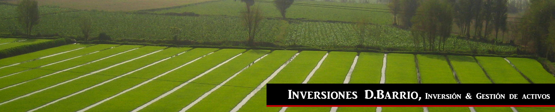 Inversiones D.Barrio, rentabilidad – inmuebles,  … sevilla, madrid,locales rentabilidad, barcelona. Compra-venta de Activos en Rentabilidad sobre todo Capitales de provincia, Sevilla, Madrid,locales rentabilidad, etc