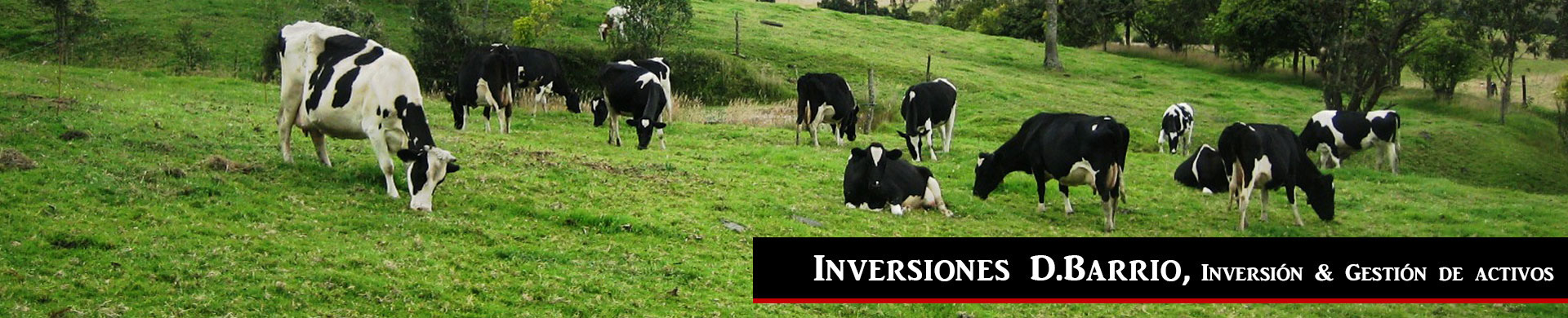 Inversiones D.Barrio, rentabilidad – inmuebles,  … sevilla, madrid,locales rentabilidad, barcelona. Compra-venta de Activos en Rentabilidad sobre todo Capitales de provincia, Sevilla, Madrid,locales rentabilidad, etc
